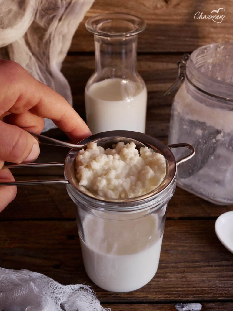 Immagini Stock - Grani Di Kefir Al Latte. Latte Kefir, O Búlgaros, È Una  Bevanda A Base Di Latte Fermentato Originaria Delle Montagne Del Caucaso,  Fatta Con Kefir grani, Un Lievito /